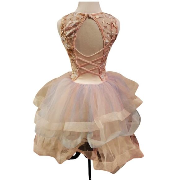Revolution Dancewear Meadow Garden Ballet Costume Tutu Dress Pink Floral - Picture 2 of 10